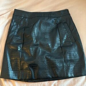 Leather Mini Skirt from Altrard State